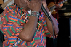 2014-Cleveland-Blues-Society-Blues-Cruise-Musicians2014-Blues-Cruise-10523979_10203568708851422_5552838358899891661_n